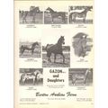 burton arabian farm 1972 gazon daughters gazone...
