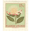 Ruanda 1953 - 15c multi - Protea - MH