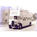 Black & White Photo of Southend Corporation Tra...