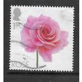 2023 Flowers - rose - used
