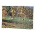 DEER PARK, ASHTON COURT, BRISTOL vintage postca...
