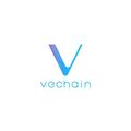 100 Vechain (VET) CRYPTO MINING-CONTRACT -Crypt...