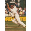 Allan Lamb English Northampton Cricketer Cricke...