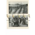 Zeebrugge Raid, 1918, Book Illustration (Print)...