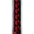 Pk DAU - D - MIX - B 037K . - 1 STRIP OF 5 - 35...