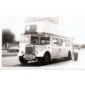 Black & White Photograph of Plymouth Corporatio...