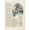 AUTUMN LEAVES, ILLUSTRATED POETRY, MAGAZINE ILL...