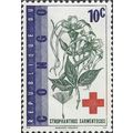 CONGO REP., FLOWER, Strophantus sarmentosus, vi...
