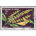 CONGO REP., FLOWER, Plectranthus decurrens, red-black 1970, 26mm