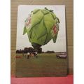WHITBREAD HOP FARM BALLOON FESTIVAL, 1991 HOP S...