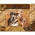 Catahoula Leopard Laser Engraved Wood Picture F...