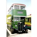 Colour Photograph of London Transport - HGC 225