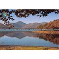 D020552 Derwentwater and Causey Pike. Golden Sh...