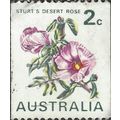 AUSTRALIA, FLOWER, Sturt's Desert Rose, white 1971, 2c