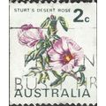 AUSTRALIA, FLOWER, Sturt's Desert Rose, white 1...