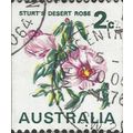 AUSTRALIA, FLOWER, Sturt's Desert Rose, white 1...
