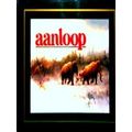 Aanloop