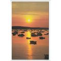Sunset over Brownsea Island Dorset Postcard PT2439
