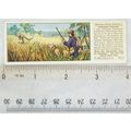 1935 Typhoo Swiss Family Robinson No. 9 Kangaro...
