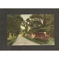 Postcard Kent Sidcup Frognel Avenue 1907