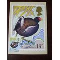 1980 GB Wild Bird Protection Act PHQ card 13p M...