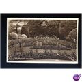 Hampshire BOSCOMBE Gardens Postcard