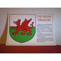 THE WELSH DRAGON , WALES unused postcard .. by ...