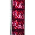 ALICE COOPER. Pk MTP - c074V . 1 STRIP OF 5 - 3...