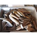 ANTLER CHEWS 3"X 3 PACK FOR THE TOY SIZE DOG OR...