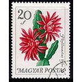 Hungary 1965 Flowers 20f Used Stamp