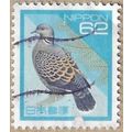 1992 - Oriental Turtle Dove - 16359