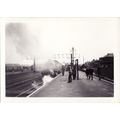 Railway Photo SR W Class 31913 Eastleigh 1962 S...