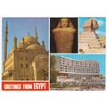 Postcard Greetings from Egypt. Cairo, Palestine...