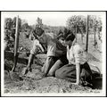 THIS EARTH IS MINE 1959 Rock Hudson, Jean Simmo...