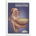 BARFLYZE ' PROMO card 5 (2015)