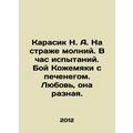 Karasik N. A. On the watch of lightning. In the...