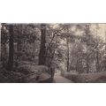 Path to The Ross Road Entrance Grangewood Park ...