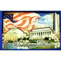 Washington D.C. Cherry Blossom Fridge Magnet