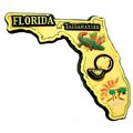 Florida Tallahassee Multi Color Fridge Magnet