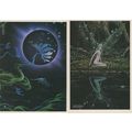 Japanese 2x Flying Fairy Ladies in Stars LGBT L...