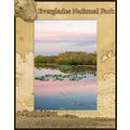 Everglades National Park Laser Engraved Wood Pi...