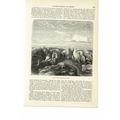 Circle Of Stones East Of Bethel (Beitin), Book ...