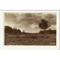 Yorkshire HARROGATE Harlow Moor Postcard by Sco...