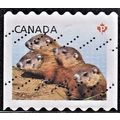 CANADA, 2013 'P' Juvenile Wildlife coil, SG 270...