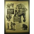 1950 Ethyl Gasoline Ad - mark the difference in elephants