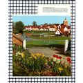 (7056) Finchingfield Essex - 1970s Cutting