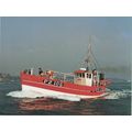6x4 Continental size printed postcard Mez Creis...