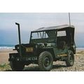 Willys Jeep Third US American Army Tank Omaha B...