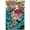 The Badger #6 (1985) *First Comics / Cover Artw...