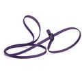 Dog Pet Waterproof Slip Lead - W3/8" x L5' - Vi...